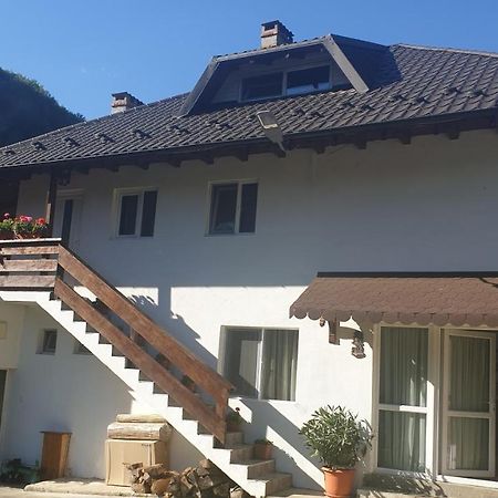 Pensiunea Ardeleanu' Slamnesti Exterior foto