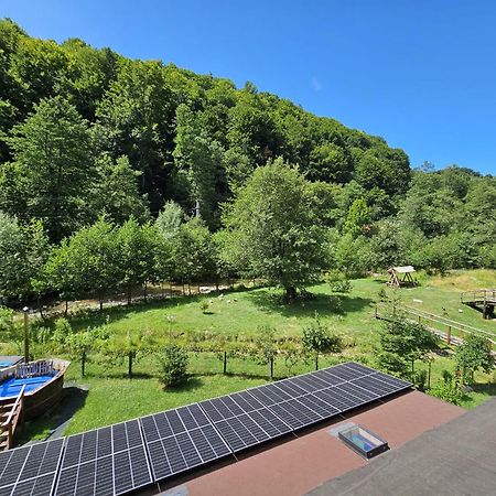 Pensiunea Ardeleanu' Slamnesti Exterior foto